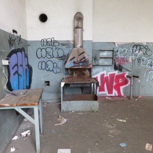 IMG_5895.JPG