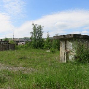IMG_5967.JPG