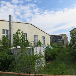 IMG_5966.JPG