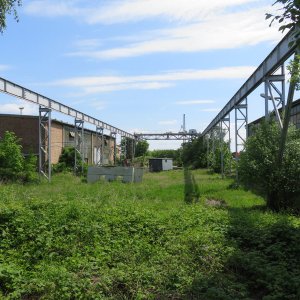 IMG_6029.JPG