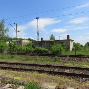 IMG_6032.JPG