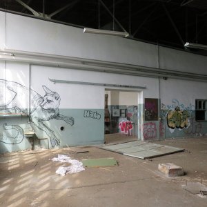 IMG_5922.JPG