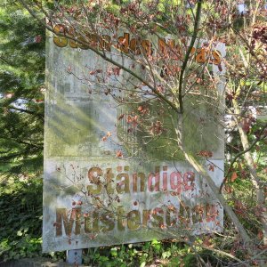 IMG_5862.JPG