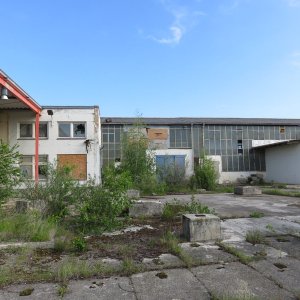 IMG_5754.JPG