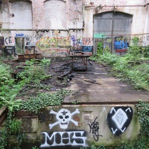IMG_9895.JPG
