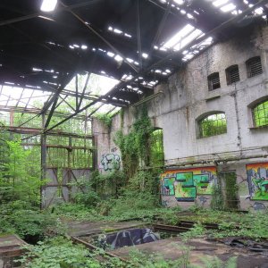 IMG_9969.JPG