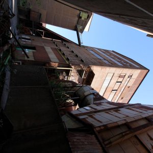 IMG_1316.JPG