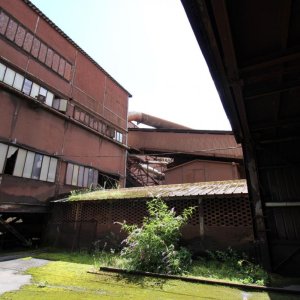 IMG_1455.JPG