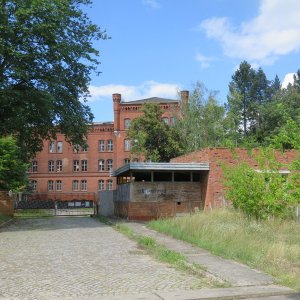 IMG_3312.JPG