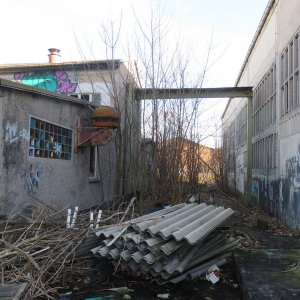 IMG_5245.JPG