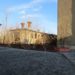 IMG_5273.JPG