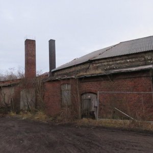 IMG_5398.JPG