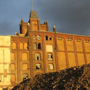 IMG_5566.JPG