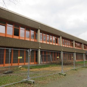 IMG_5448.JPG