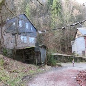 IMG_9257.JPG