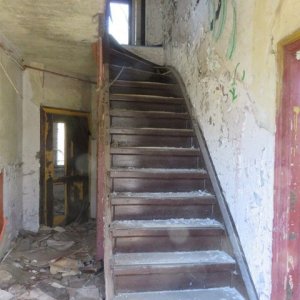 IMG_2665.JPG