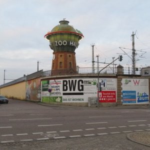 IMG_4183.JPG