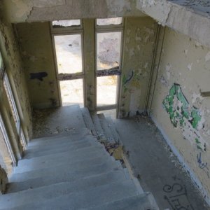 IMG_3353.JPG