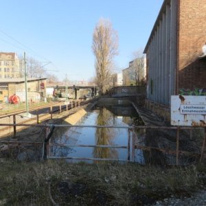 IMG_4438.JPG