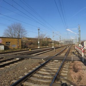 IMG_4394.JPG
