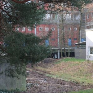 Dorsten 11.JPG