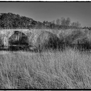 IMG_3456_Fotor.jpg