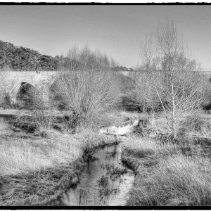 IMG_3457_Fotor.jpg