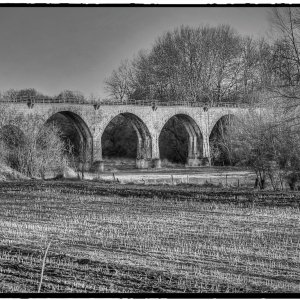 IMG_3476_Fotor.jpg