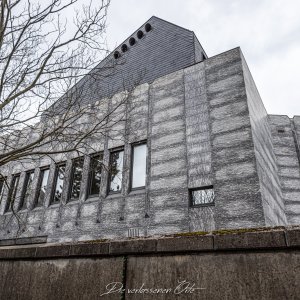 IMG_6439.jpg
