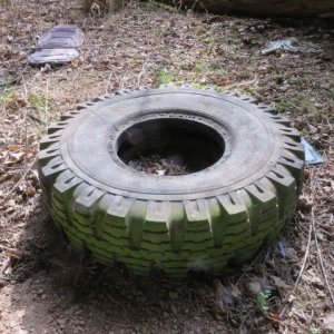 IMG_4887.JPG