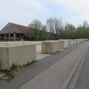 IMG_5068.JPG