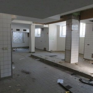 IMG_5359.JPG