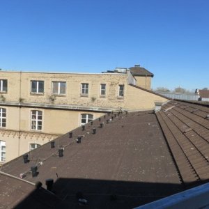 IMG_5252.JPG