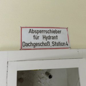 IMG_5236.JPG