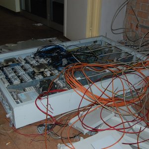 29.jpg