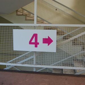 74.jpg