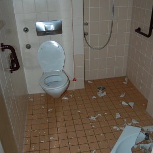 79.jpg