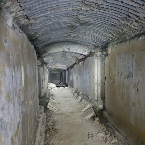 20220424_134649.jpg