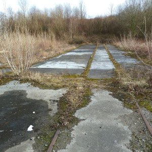 Begleisung Richtung Lärmschutzwall links Signalmeisterei.jpg