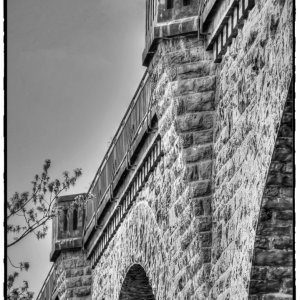 IMG_3666.jpg