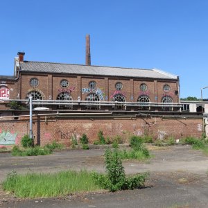 IMG_7802.JPG