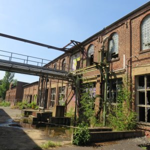 IMG_7814.JPG