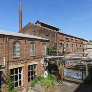 IMG_7846.JPG