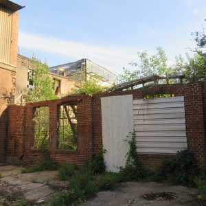 IMG_7248.JPG