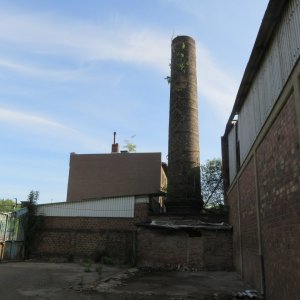 IMG_7254.JPG