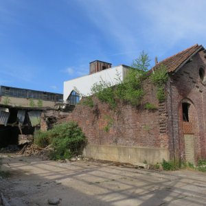 IMG_7272.JPG