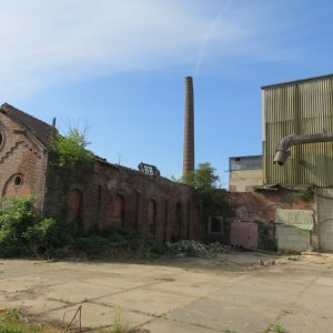 IMG_7285.JPG