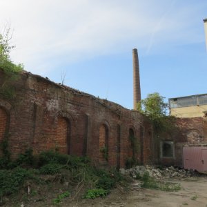 IMG_7283.JPG