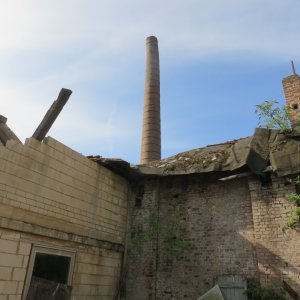 IMG_7293.JPG