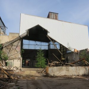 IMG_7294.JPG
